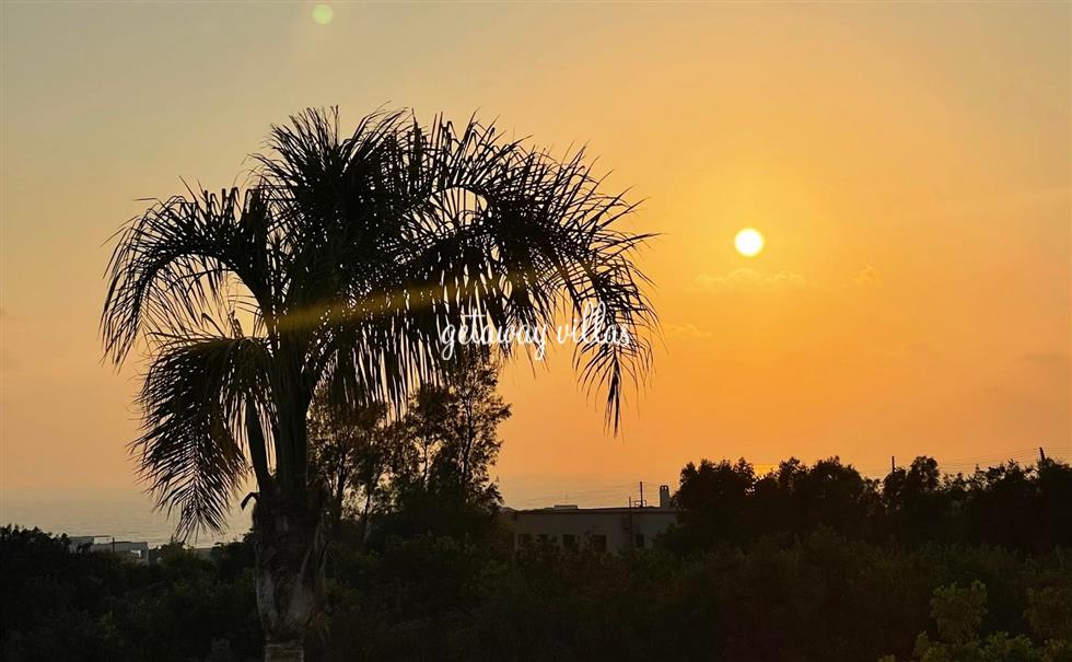 Villa - Ellada-2 - Kissonerga-