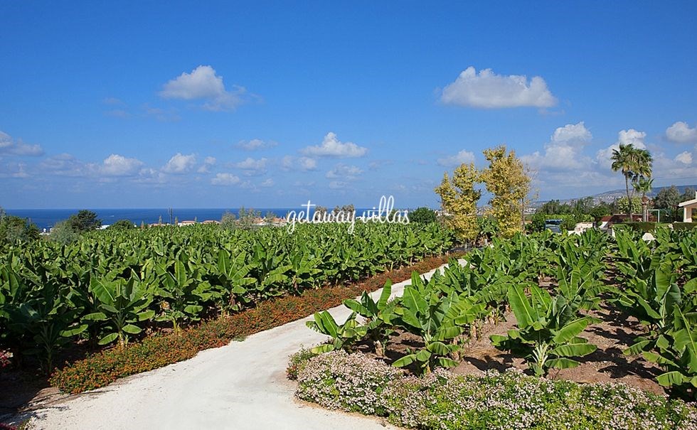 Villa - Banana-Gardens - Kissonerga-