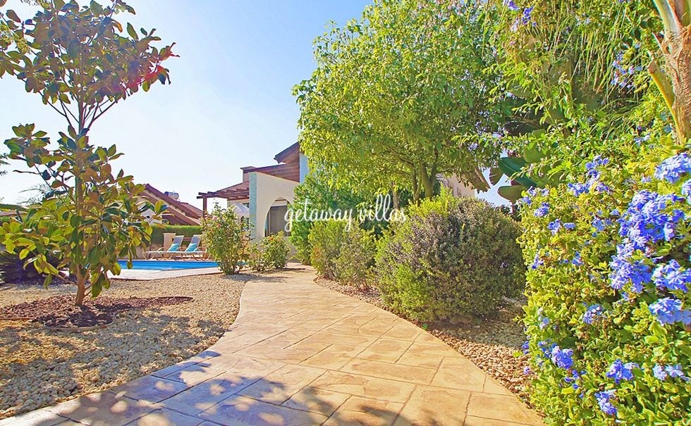 Villa - Thekla-Sun - Ayia-Thekla-