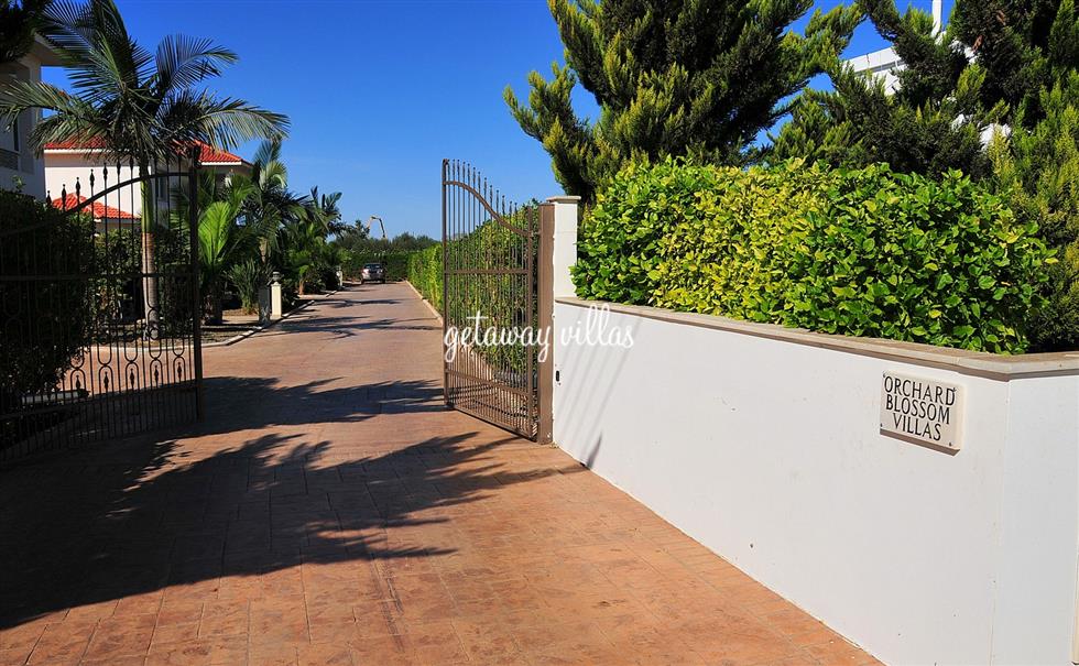 Villa - Orchard-Blossom - Frenaros-