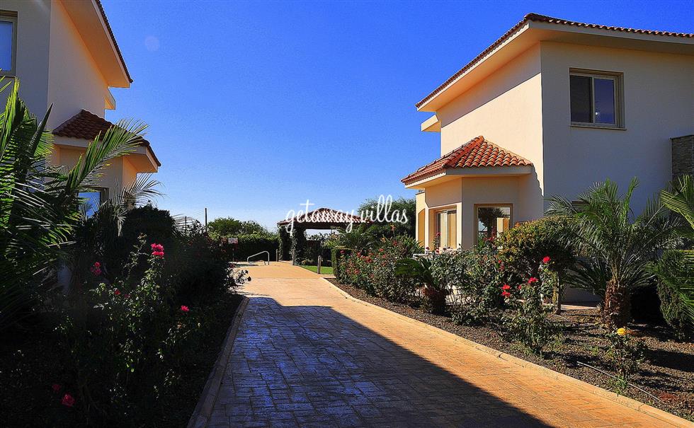 Villa - Orchard-Blossom - Frenaros-