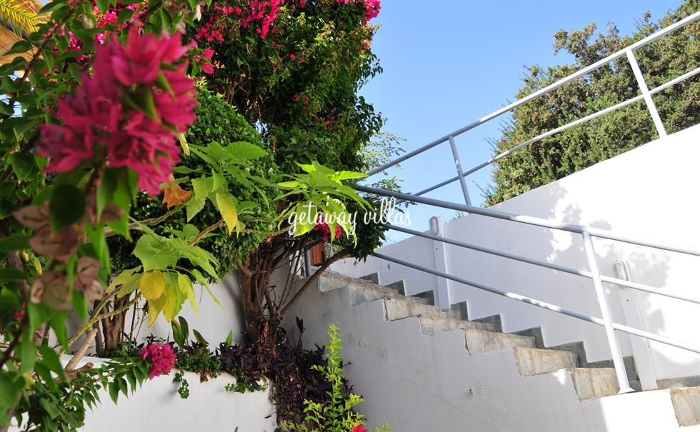 Villa - Daphne - Pissouri-